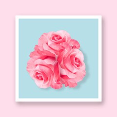 Illustration of a bouquet of pink roses with a white paper frame in blue pastel color on a pastel pink background. Minimal creative concept of three pink roses as an invitation, a card.