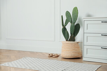 Stylish room interior with beautiful potted cactus and chest of drawers, space for text