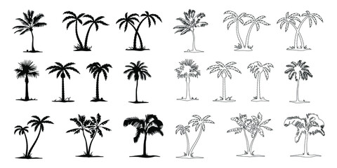 Palm tree vector png isolated on white background. palm tree editable eps 10.