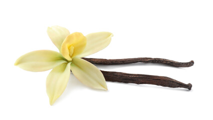Naklejka na ściany i meble Aromatic vanilla sticks and beautiful flower on white background