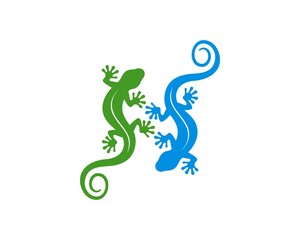 Fototapeta premium Twin lizard with green and blue colors