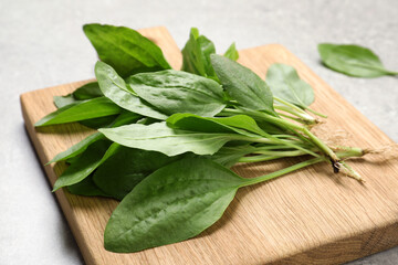 Broadleaf plantain leaves on light grey table, closeup