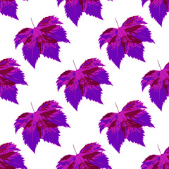 Bright pattern of violet-pink autumn leaves. Floristic elements. Suitable for autumn themes and also for printing on fabric