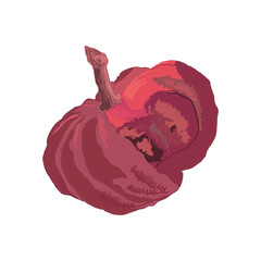 Illustration of a pink pumpkin with a cut quarter. Creates a romantic homey holiday autumn mood on the fabric or other kind of material