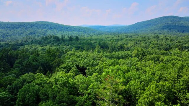 Aerial drone video footage of a coniferous pine forest in the Catskill Mountains during summer. Catskill mountains are a sub-range of the Appalachian Mountains and are in New York’s Hudson Valley. 