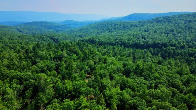 Aerial drone video footage of a coniferous pine forest in the Catskill Mountains during summer. Catskill mountains are a sub-range of the Appalachian Mountains and are in New York’s Hudson Valley. 