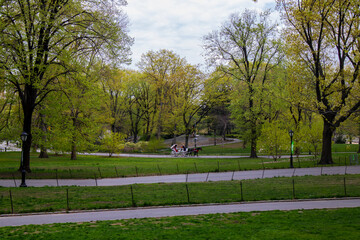 Park in the city; Central Park