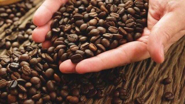 Man's hand holding roasted coffee beans and pouring them on a pile of coffee beans