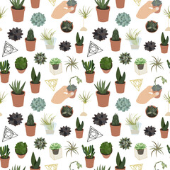 Realistic set of color succulents and accessories