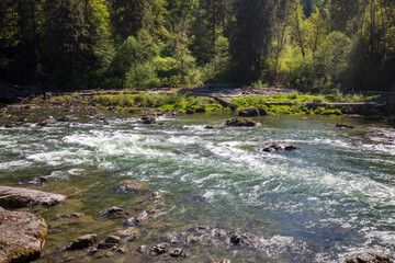 Snoqualmie river in summer at Washington State.