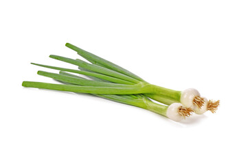 Obraz premium Green onion isolated on the white background
