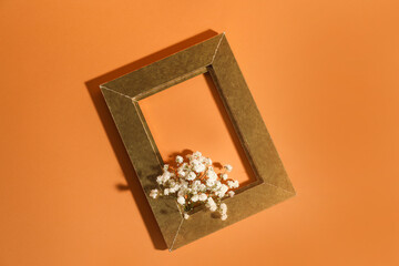 Beautiful gypsophila flowers and blank frame on color background