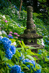 A stupa surrounded by colorful hydrangea flowers.