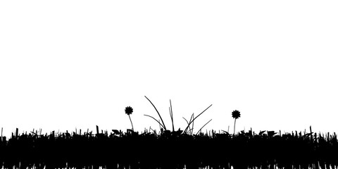 Silhouette of grass isolated on white background. Vector illustration