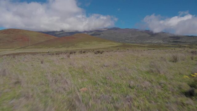 Lush Volcanic Valleys. Blue skies, yellow flowers, green prairies. Hawaiian Landscapes near Mauna Kea. 

Location: Big Island, Hawaii
4K Raw Aerial Footage