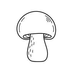 Cute edible mushroom in doodle style. Ingredients for cooking, salads. Autumn plant harvesting. Vector isolated hand drawn illustration for coloring pages, sketch, outline