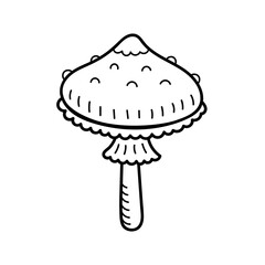 Cute mushroom in doodle style. Poisonous mushroom, fly agaric, toadstool. Vector isolated hand drawn illustration for coloring pages, sketch, outline