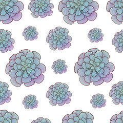Succulents pattern. Seamless texture with plants, succulent. Hand painted background.