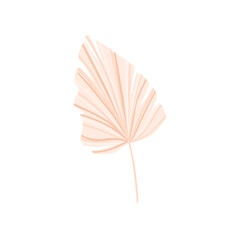 Dry palm leaf on a white background. For the decoration of invitations, flyers, postcards. Vector illustration