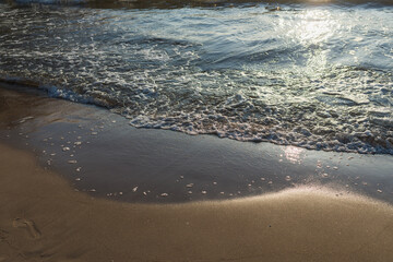 Soft wave of the sea on the sandy evening beach.Soft focus,blurred image.