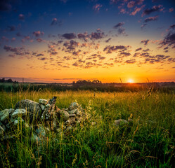 Sun rising over the summer meadow. Grass growing in rural landscape during sunrise. Summertime scenery of Northern Europe.