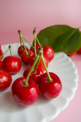 cherries with cherry leaf isolated on a pink background.
