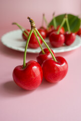 cherries with cherry leaf isolated on a pink background.