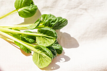 Fresh organic green healthy spinach leaves on white background