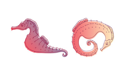 Stylized Sea Horses with Bony Armour and Curled Prehensile Tail Vector Set