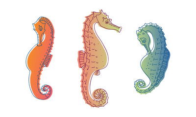 Stylized Sea Horses with Bony Armour and Curled Prehensile Tail Vector Set