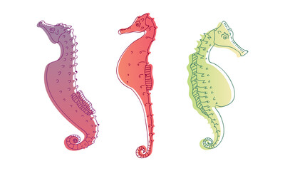 Stylized Sea Horses with Bony Armour and Curled Prehensile Tail Vector Set