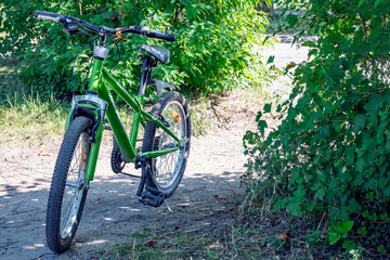 Fototapeta na wymiar Green bicycle is parked on path between dense bushes, in nature on country road. Concept bike tour of cycling, outdoor activities, cycling along forest paths.