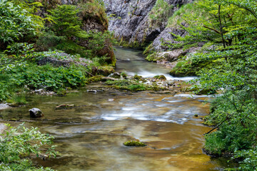 Schöner sommerlicher Gebirgsbach, Weissbachschlucht