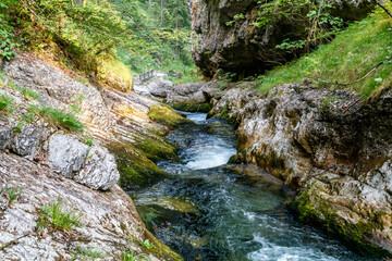 Schöner sommerlicher Gebirgsbach, Weissbachschlucht