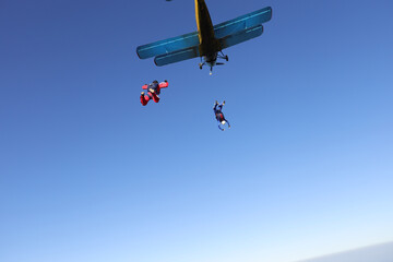 Skydiving. A group of skydivers is in the sky.