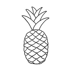 Fruit doodle pineapple. Fresh, healthy, tropical food. Hand drawn illustration. 