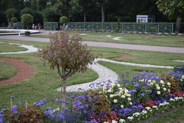 landscape design in the park