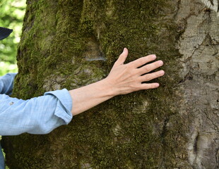 tree in the hands