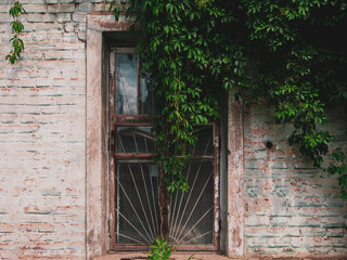 Fototapeta na wymiar Old window covered with iron grate and green wild grape vine. Ancient building with weathered vintage brick wall. Urban street travel aesthetic photo.