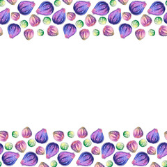 Backgrounds, frames of watercolor figs. Hand drawn bright decoration, images of berries, fruits in sketch style. Horizontal top and bottom edging, border, decoration for food design, packaging