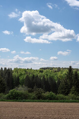 cloudy sky over mixed forest in swabian alb