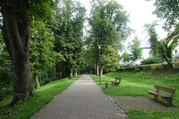 Fototapeta na wymiar Park in 86609 Donauwörth