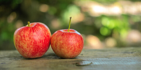 Two country apples on the bench with the space for your text.