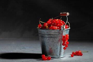 
red currants in a small metal bucket on a black background. Low key food photography