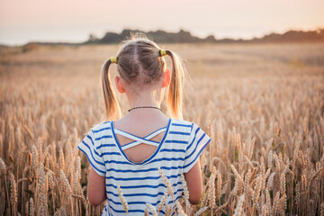 Back view of a child girl with two pony tails in the yellow wheat field at sunset summer landscape,...