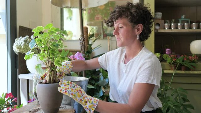Female gardener planting green plant in pot in flower shop
