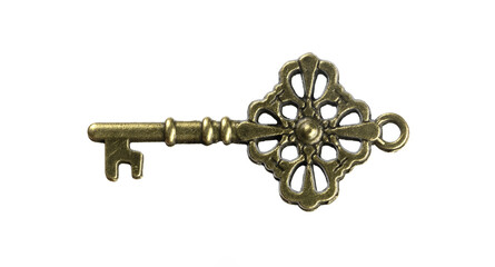 isolated vintage old golden and bronze key