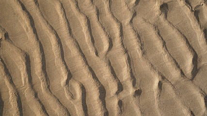 Sandy wave of the sea at low tide, Wavy curves pattern of sand beach, Texture background