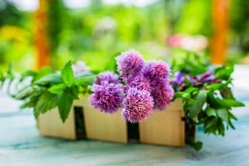 Fresh herbs in the basket on the wooden table.