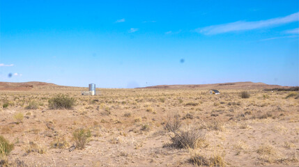 desert landscape with trees and sky